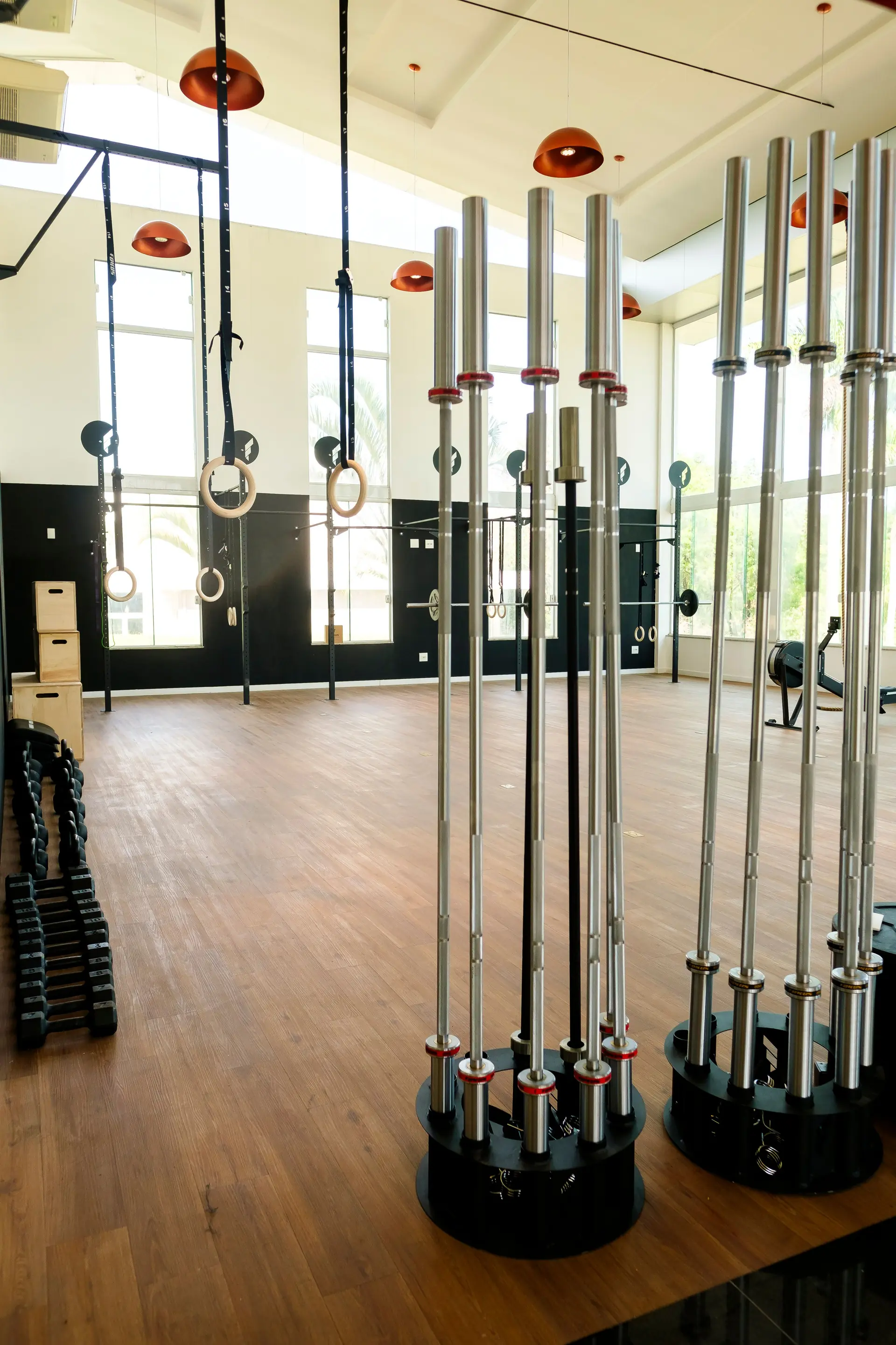 Box de crosstraining do Spa Recovery, com barras, argolas e pé-direito alto